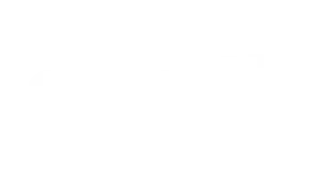 Synottip